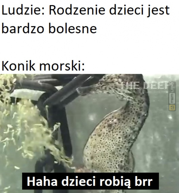 Śmieszny mem: 5103455 - MemLand