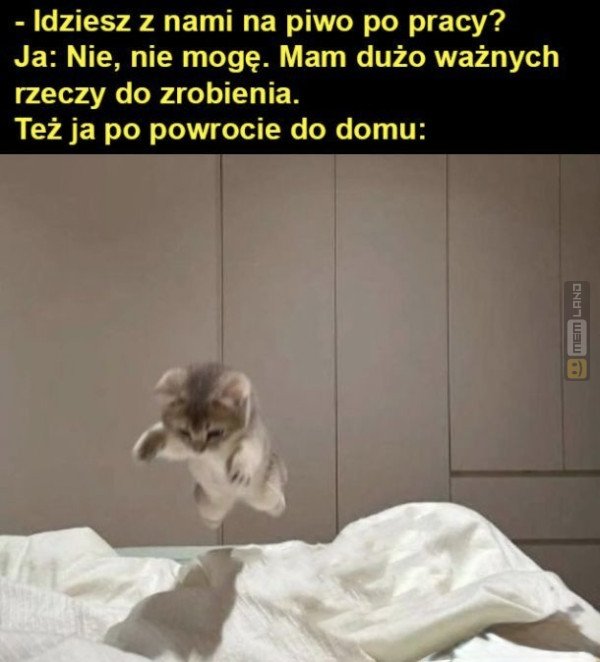 Śmieszny mem: 5116649 - MemLand