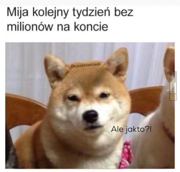 Śmieszny mem: 5122873 - MemLand