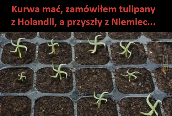 Śmieszny mem: 5130312 - MemLand