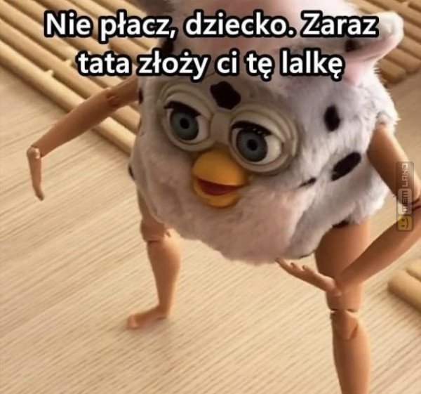 Śmieszny mem: 5131039 - MemLand