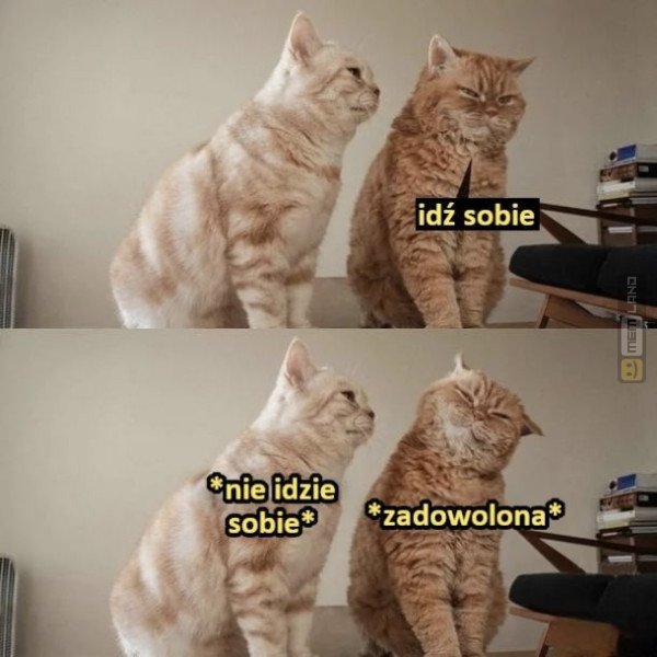 Śmieszny mem: 5136973 - MemLand