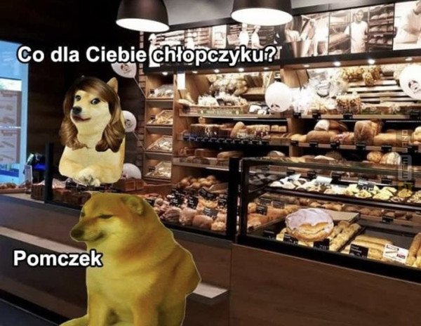 Śmieszny mem: 5137834 - MemLand