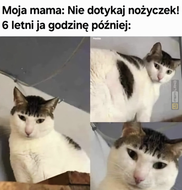 Śmieszny mem: 5138112 - MemLand