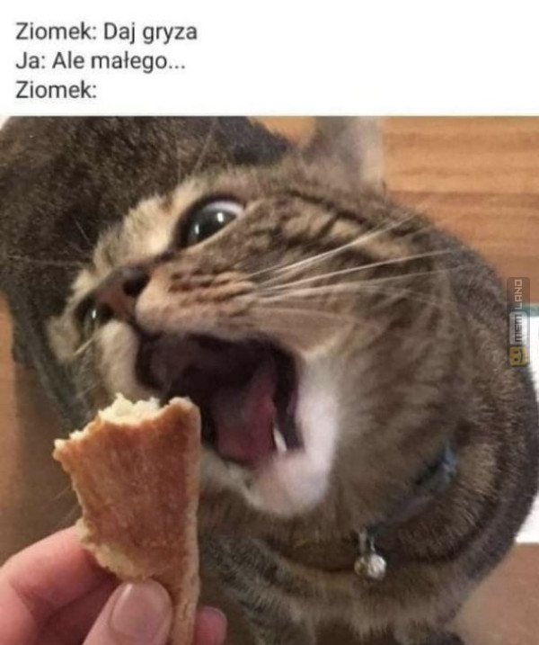 Śmieszny mem: 5155382 - MemLand