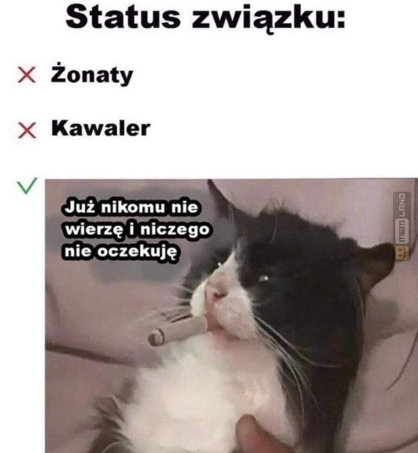 Śmieszny mem: 5164151 - MemLand