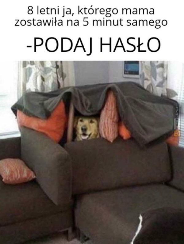 Śmieszny mem: 5177697 - MemLand