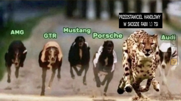 Śmieszny mem: 5180147 - MemLand