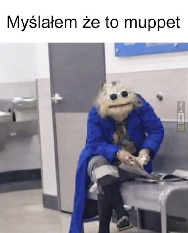 Śmieszny mem: 5182112 - MemLand