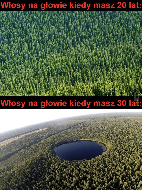 Śmieszny mem: 5187537 - MemLand