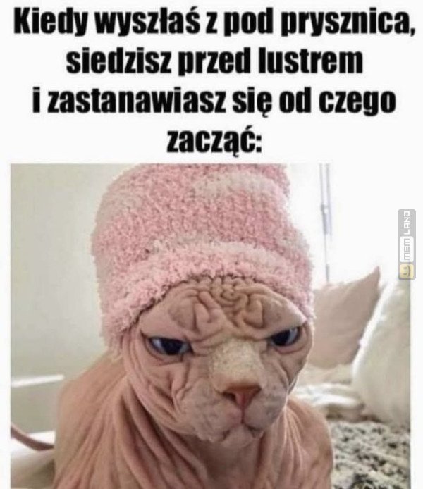 Śmieszny mem: 5191768 - MemLand