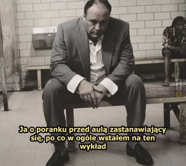 Śmieszny mem: 5192180 - MemLand