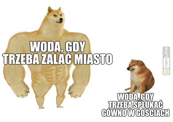 Śmieszny mem: 5193121 - MemLand