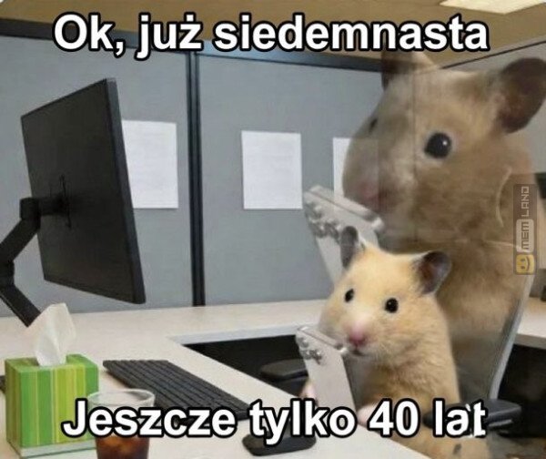 Śmieszny mem: 5203072 - MemLand