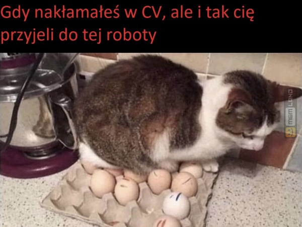 Śmieszny mem: 5206896 - MemLand