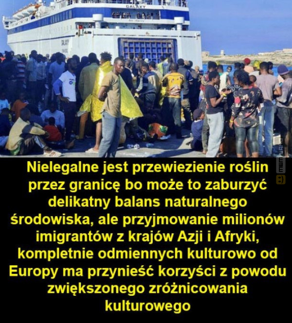 Śmieszny mem: 5209178 - MemLand