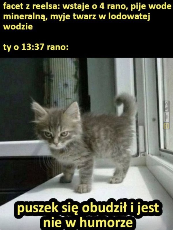 Śmieszny mem: 5217411 - MemLand