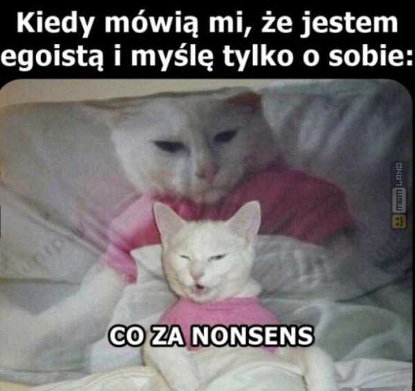 Śmieszny mem: 5228869 - MemLand