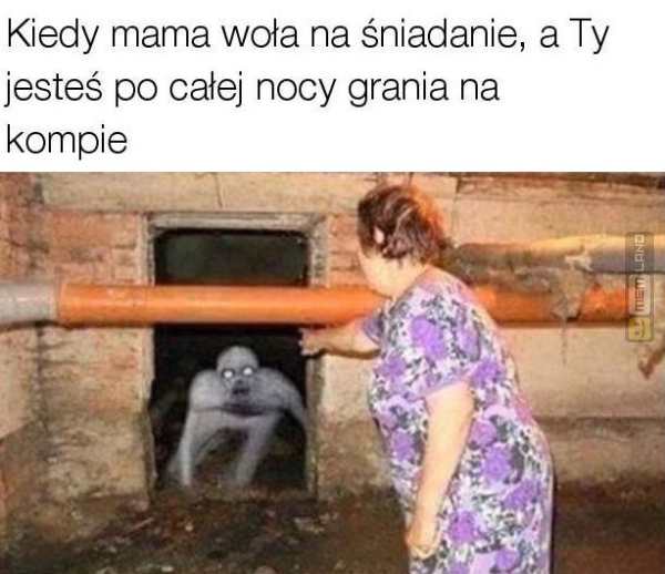Śmieszny mem: 5231328 - MemLand