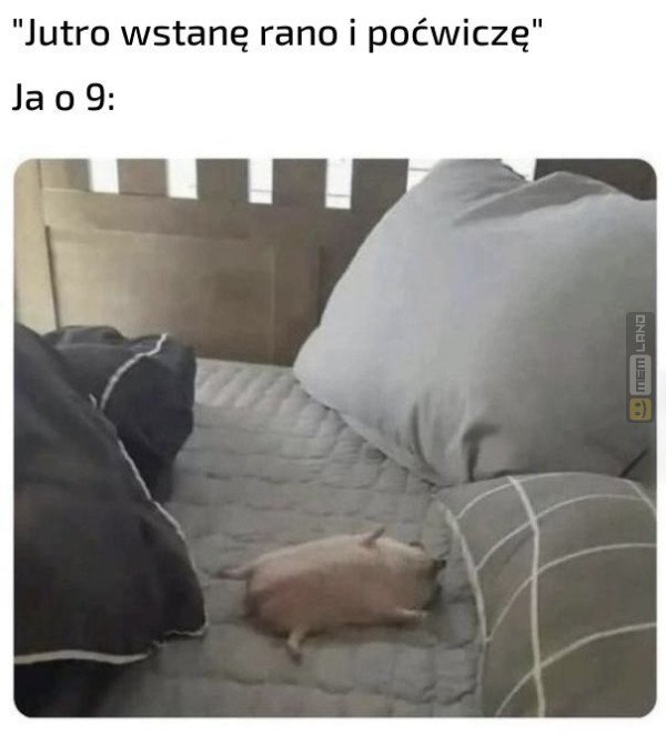 Śmieszny mem: 5236116 - MemLand