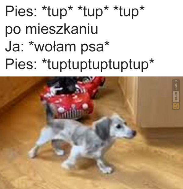 Śmieszny mem: 5239944 - MemLand