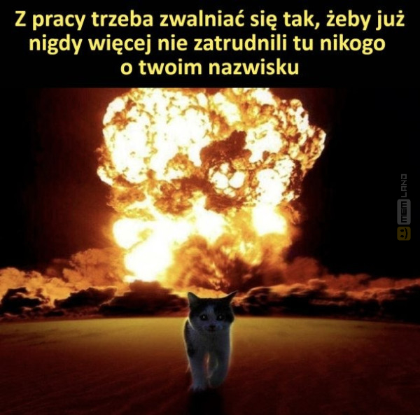 Śmieszny mem: 5247508 - MemLand