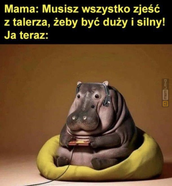 Śmieszny mem: 5250741 - MemLand