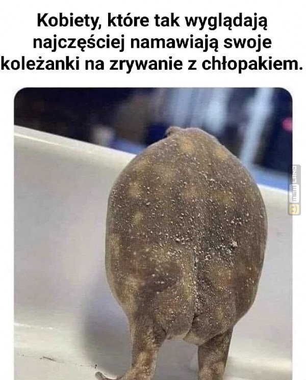 Śmieszny mem: 5255550 - MemLand