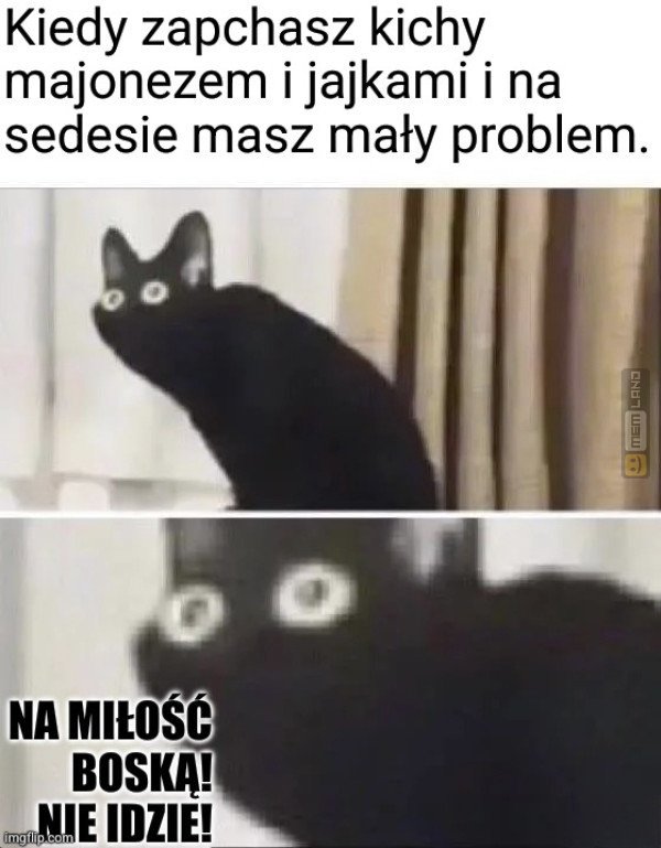 Śmieszny mem: 5266464 - MemLand