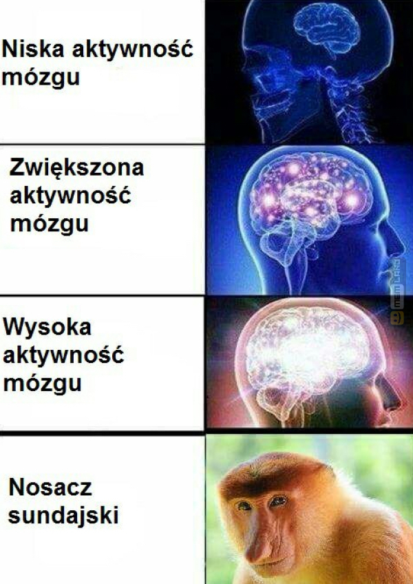 Śmieszny mem: 5271637 - MemLand
