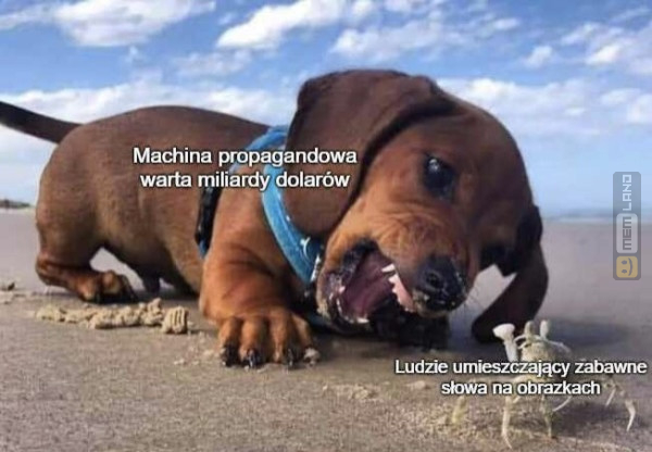 Śmieszny mem: 5274569 - MemLand