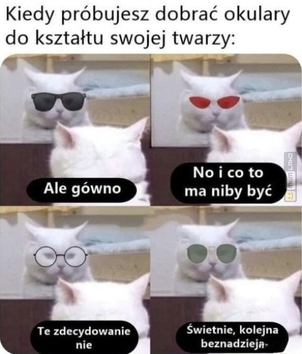 Śmieszny mem: 5276968 - MemLand