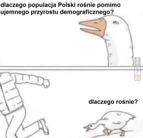 Śmieszny mem: 5278368 - MemLand