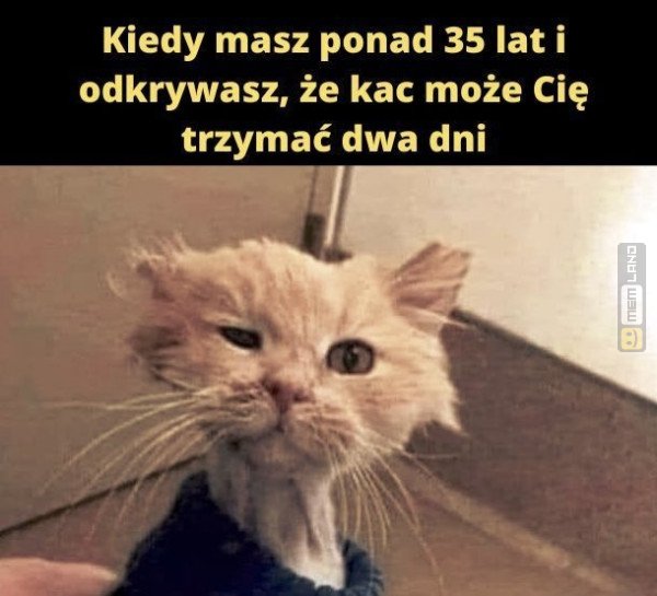 Śmieszny mem: 5279340 - MemLand