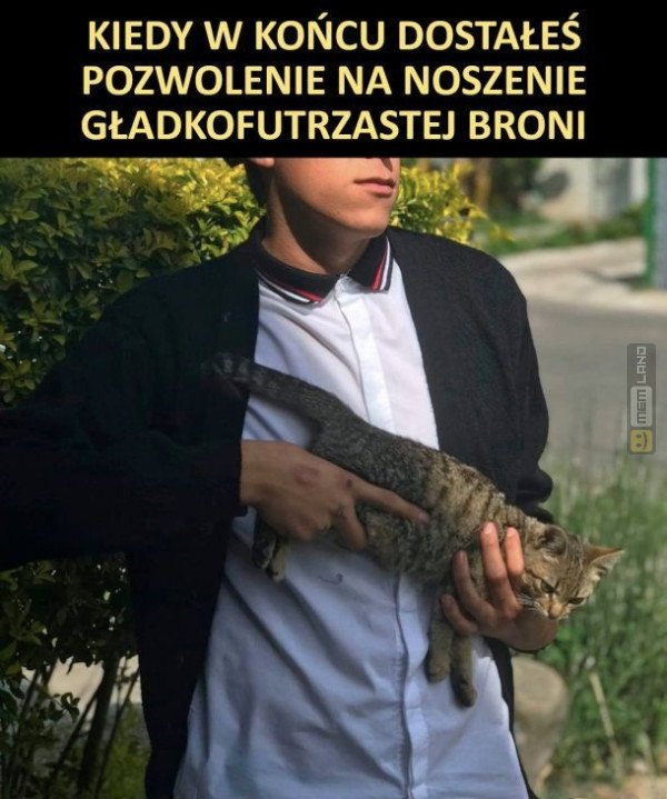 Śmieszny mem: 5283059 - MemLand