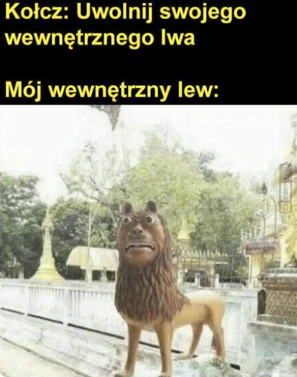 Śmieszny mem: 5290280 - MemLand