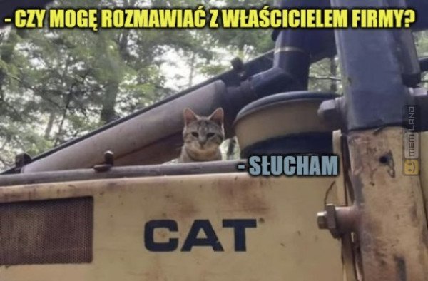 Śmieszny mem: 5302189 - MemLand