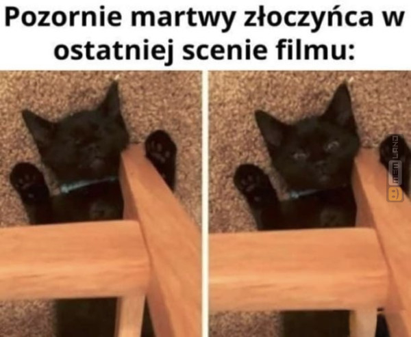 Śmieszny mem: 5306665 - MemLand