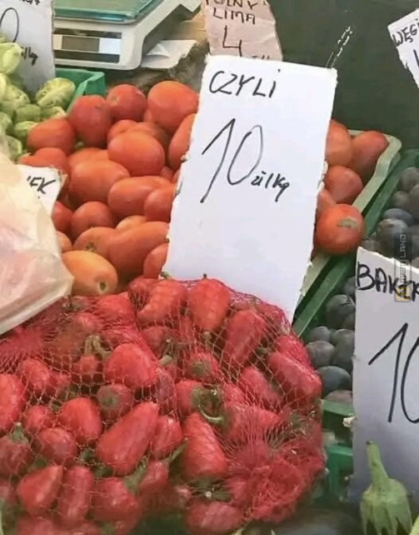 Śmieszny mem: 5308552 - MemLand