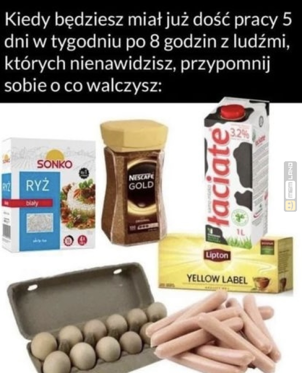 Śmieszny mem: 5319863 - MemLand