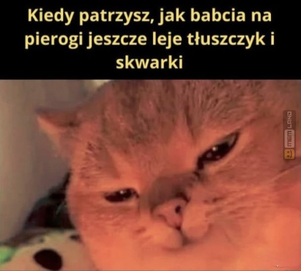 Śmieszny mem: 5324436 - MemLand