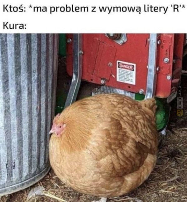 Śmieszny mem: 5335261 - MemLand