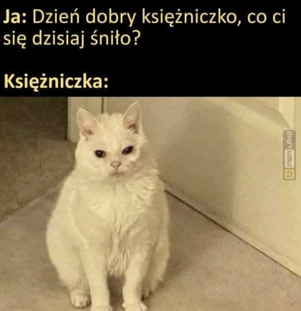 Śmieszny mem: 5337193 - MemLand