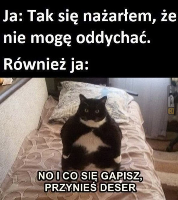 Śmieszny mem: 5343713 - MemLand