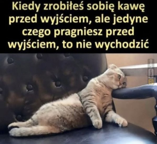 Śmieszny mem: 5350356 - MemLand