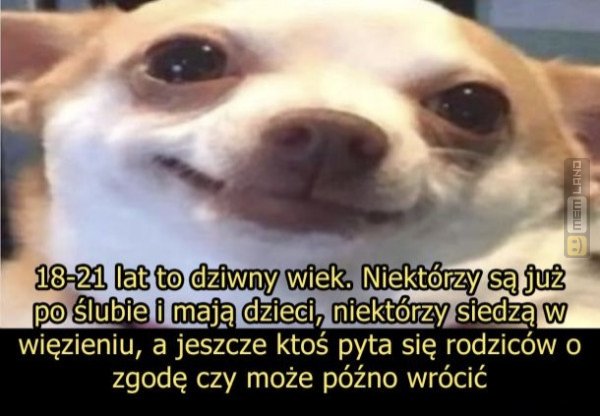 Śmieszny mem: 5352007 - MemLand