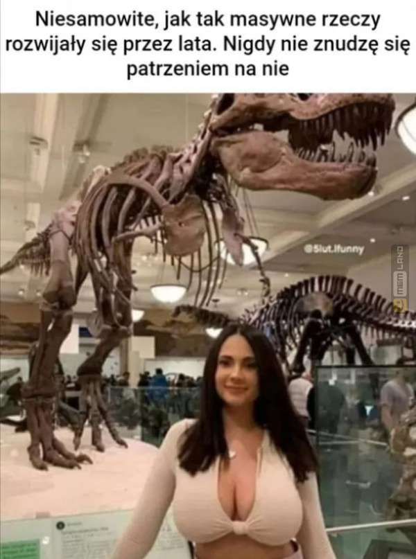 Śmieszny mem: 5362994 - MemLand