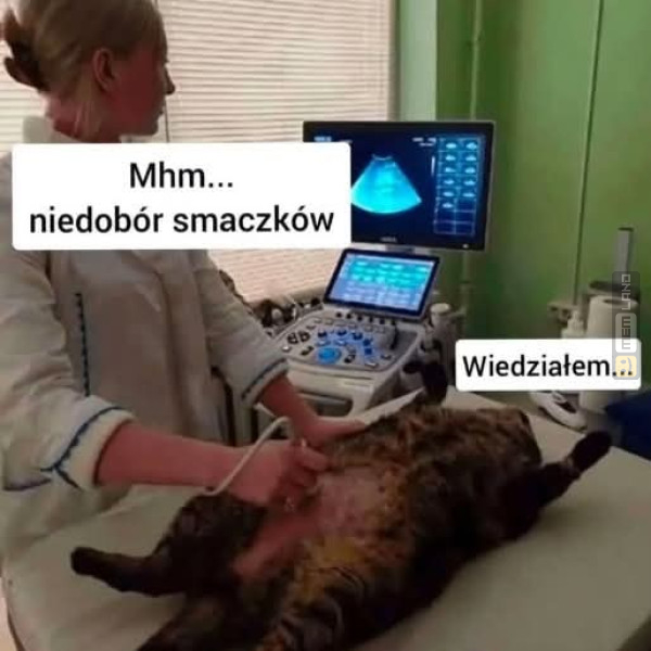 Śmieszny mem: 5364184 - MemLand