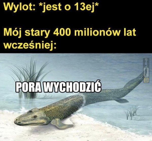 Śmieszny mem: 5365135 - MemLand