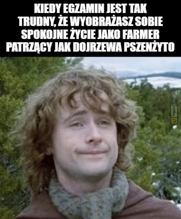 Śmieszny mem: 5365815 - MemLand